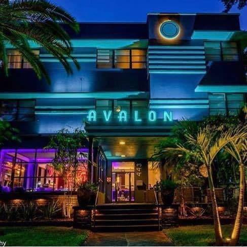 Avalon Hotel Downtown St. Petersburg Ngoại thất bức ảnh