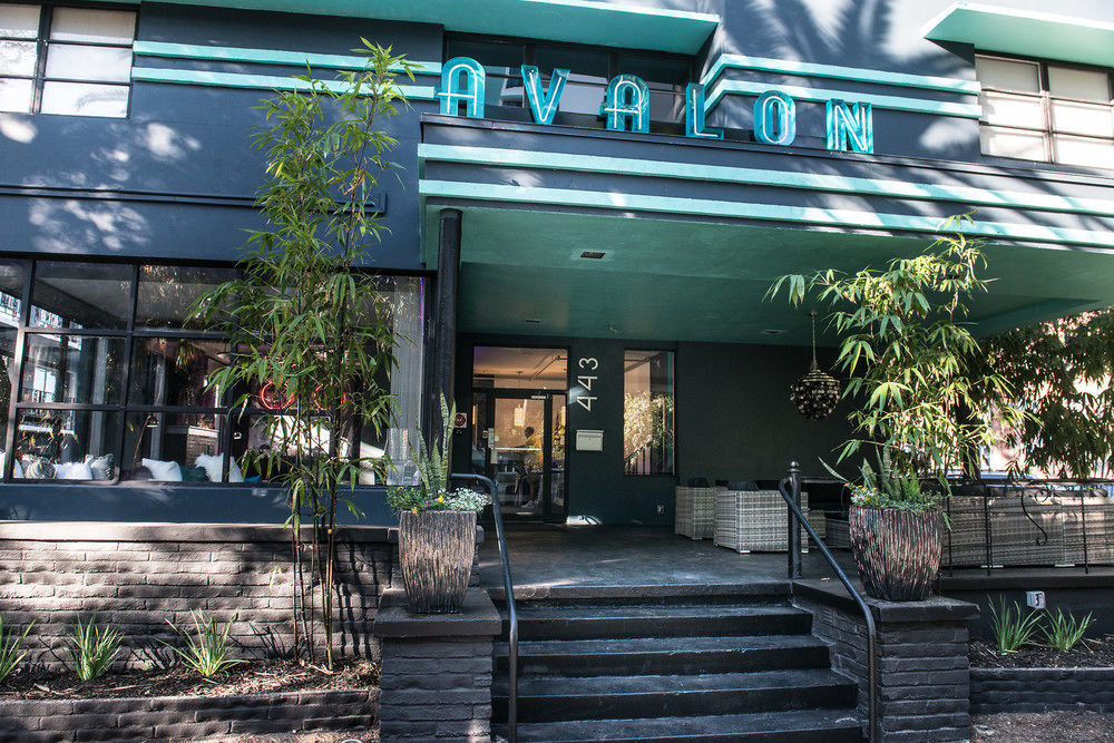 Avalon Hotel Downtown St. Petersburg Ngoại thất bức ảnh